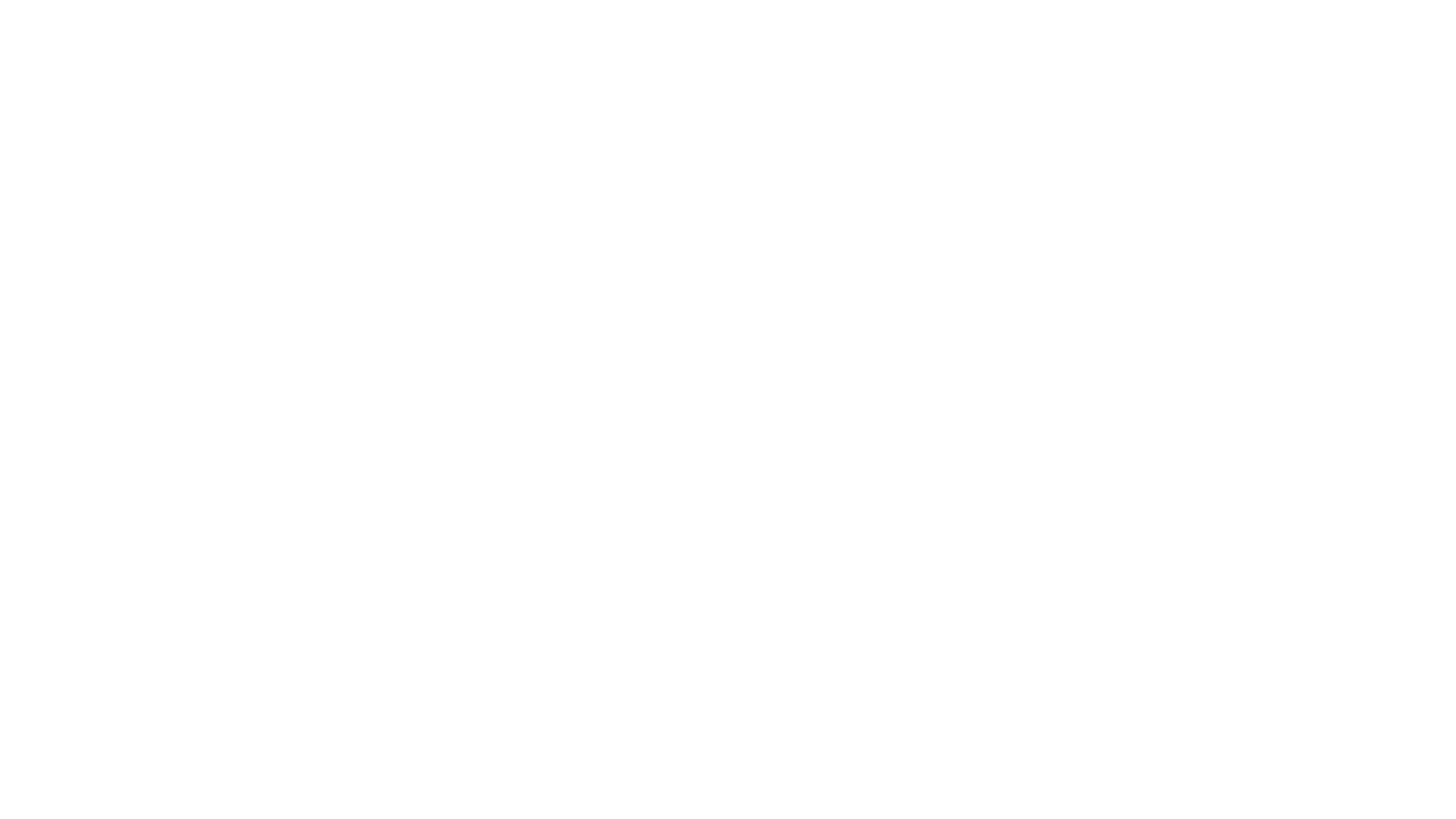 Gestión Aduanera